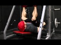 60 Seconds with Flex | Vertical Leg Press