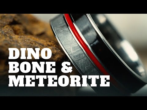 Meteorite Meets Dino Bone Ring!