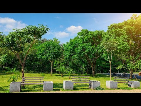 Parque das Flores | Goiânia Goiás 📍