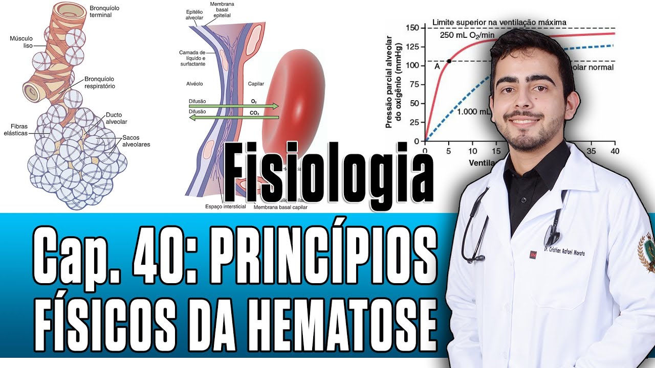Fisiologia - Princípio Físico das Trocas Gasosas (Capítulo 40) │ Guyton