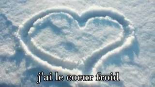 Celine Dion - Comme Un Coeur Froid (Lyrics)