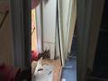 Wood Rot Repair in a Door Jamb Using Cedar #diy #homeimprovement