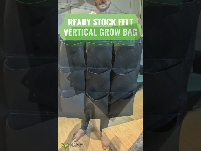 Vídeo relacionado con Generisch Upside Down Planter, Thickened Vertical Pot, Breathable Strawberry Bag, Hanging Tomato Grow Pouch, Blueberries Vegetables Outdoor Balcony Railing Wall Patio Garden Yard Porch Fence 60 x 25