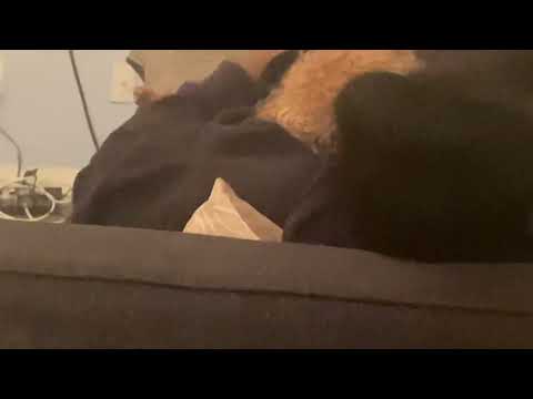 Lucy giving Auntie kisses