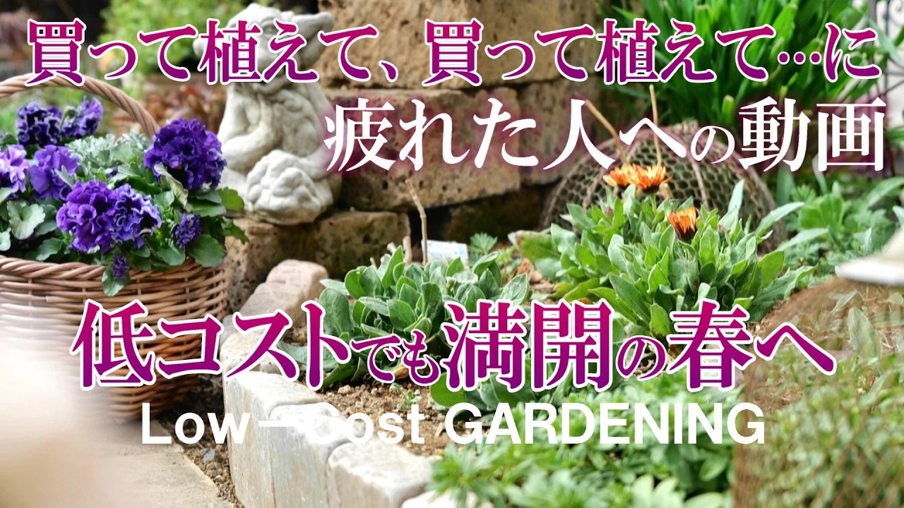 【買わない植栽】抜いて植えるローコストな庭作りが最高すぎた！｜春に向けての始動＆テキパキ庭仕事｜ミモザの刺繍｜ガーデニング