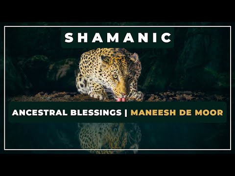 🎼 Ancestral Blessings⭐ Maneesh de Moor ✨ Shamanic Music