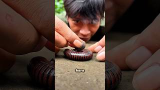 Download lagu 😱 Don’t Press the Like Button… Or This Centipede Will Find You! 🐛🍫 #shorts mp3