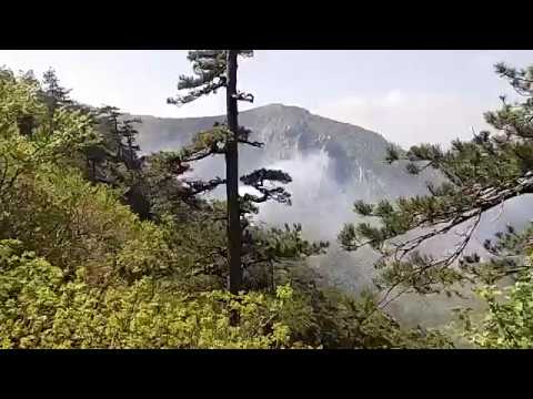 Incendiu în Parcul Național Domogled Valea Cernei