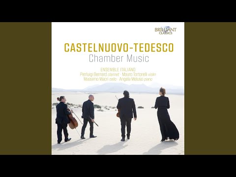 Sonata, Op. 128: III. Lullaby