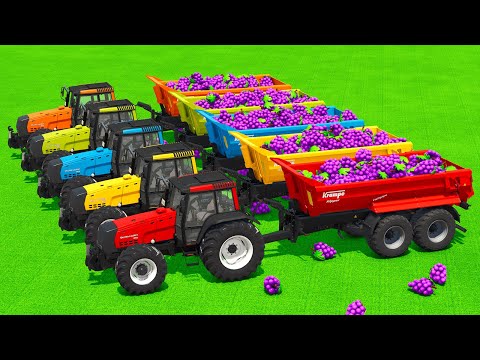 LOAD AND TRANSPORT GRAPES WITH VALTRA TRACTORS & DEUTZ LOADERS - Farming Simulator 25