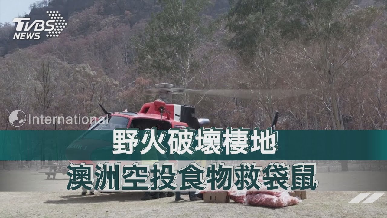 野火破壞棲地 澳洲空投食物救袋鼠