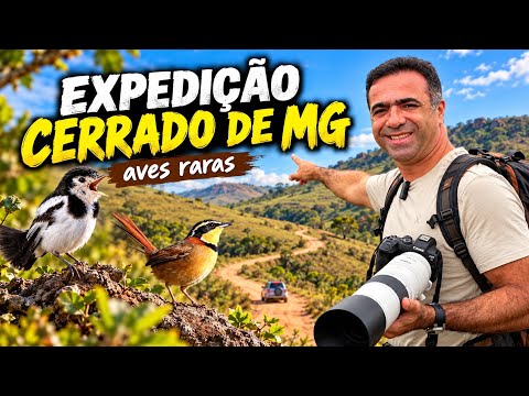 Expedição cerrado de MG  / aves raras de ANDRELÂNDIA
