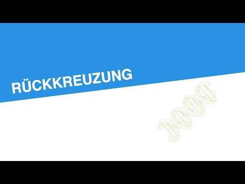 RÜCKKREUZUNG | Biologie | Genetik und Entwicklungsbiologie