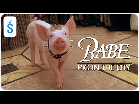 Babe: Pig in the City (1998) | Scene: A charity dinner