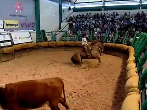 Jotace Utopia Bocal de Ouro 2015! Veja como foi a Mangueira II.