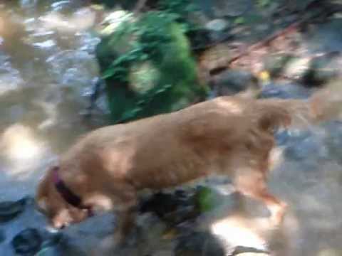 2012 12 21 1231後山MOV00648