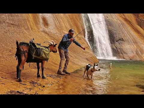 Waterfall Trout Cakes in a Sandstone Wilderness Firebox Camping Stove Prototype Testing / Pack Goats