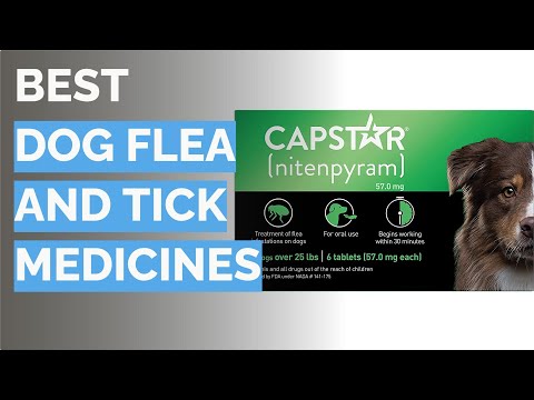 🌵 10 Best Dog Flea and Tick Medicines (Simparica, Sentinel, and More)