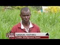 Fodder Farming For Profit Efficiency Of Dairy Farmers In Kenya Part 1