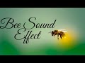 Bee Sound Effect Crazy Sounds