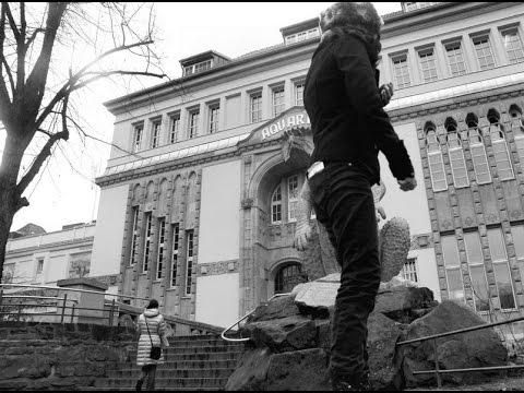 TIME TO PRETEND by MGMT : Music Video {Backpacking Amsterdam & Germany}