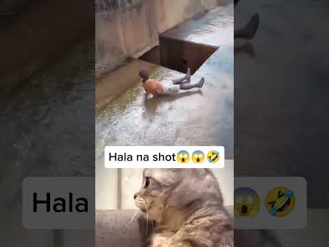 Hala na shot tudas 🤣🤣🤣#highlights #funny #pleasesubscribe #comedy #funnyvideo #goodvibesonly