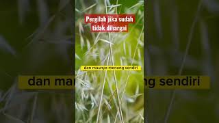 Download lagu Pergilah jika sudah tidak dihargai‼️ #shorts mp3 Download lagu Pergilah jika sudah tidak dihargai‼️ #shorts mp3