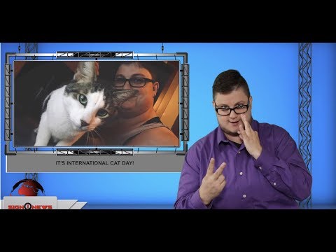It’s International Cat Day! (ASL - 8.8.19)