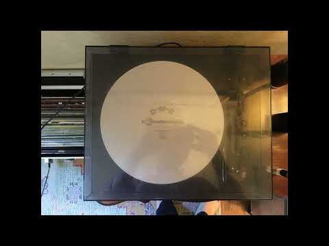 Bankston, L.P. (2011). (It's Like) XTC [Missing Monuments]. Painted White [LP]. DMR045.