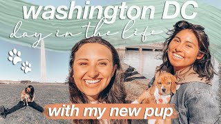 WASHINGTON DC VLOG | day in the life with my new puppy!