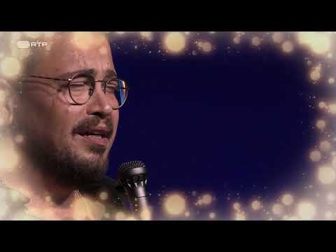 Ricardo Ribeiro -  Primavera