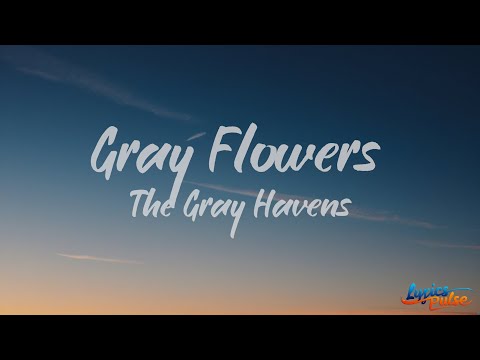Gray Havens Gray flowers (lyrics)