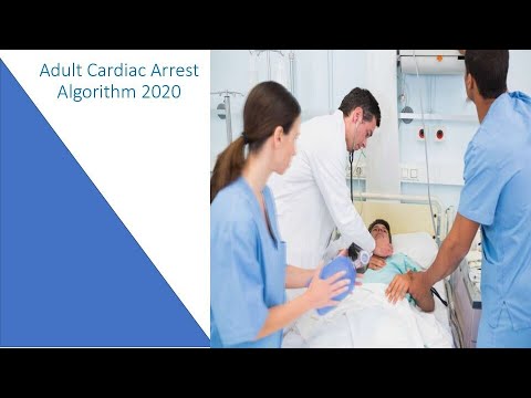 Adult Cardiac Arrest Algorithm 2021