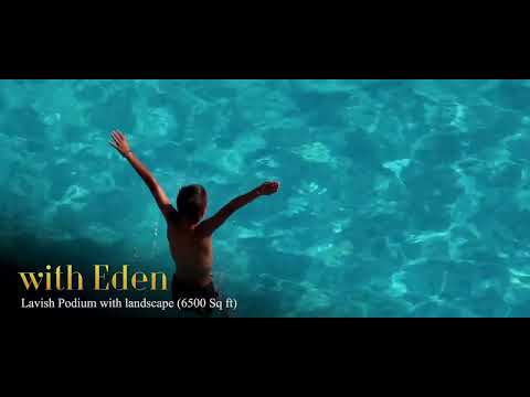 Dotom Blumen Project Tour 1