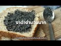 Black Sesame Oil ช่วยแก้ไขปัญหา ข้อเสื่อม ปวดต