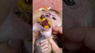 The mother is trying to remove the poisonous seed before the monkey swallows it 🫘🫘