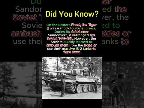 Tiger II vs  T 34 Swarms 🇷🇺! #EasternFront #SovietUnion #T34 #TankWar #Snow