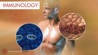 Immunology  | innate and adaptive immunity