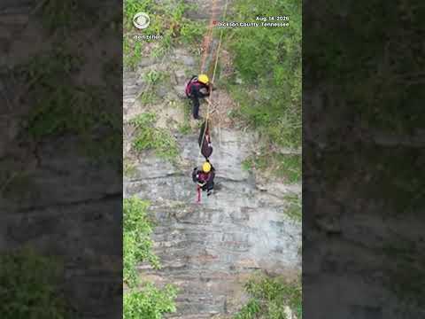 Firefighters rescue dog stranded over 100 feet down a cliff in Tennessee #shorts