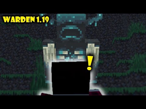 AFFRONTO IL WARDEN PER LA PRIMA VOLTA!