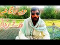 Mazahya Qissa Peer Ty Mureedni Saraiki Qissa 2020 Saleem Sultani