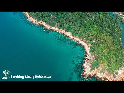🔴  Relaxing Music | Healing Music | Meditation Music,Spa Music, Sleep, Zen, Study Music, Yoga Music.