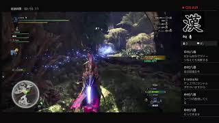 [MHWI]導きの地　歴戦狩り