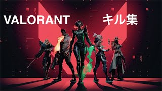 【VALORANT/ヴァロラント】キル集