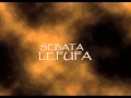LEFUFA YOU TUBE