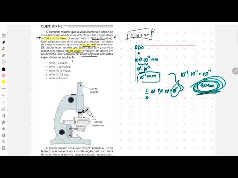 questão 146 enem 2024 prova cinza