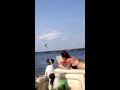 Seagulls Love Cheetos