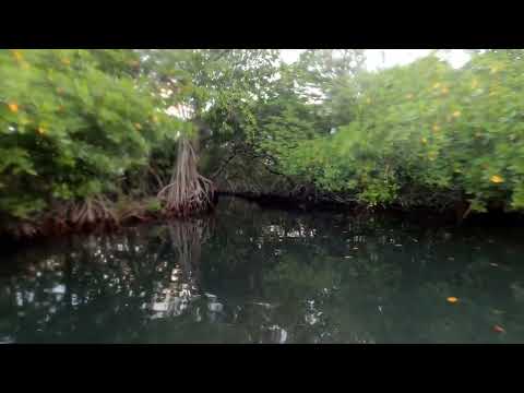 Kayak trip through pirate tunnels to Blue Lagoon Roatan