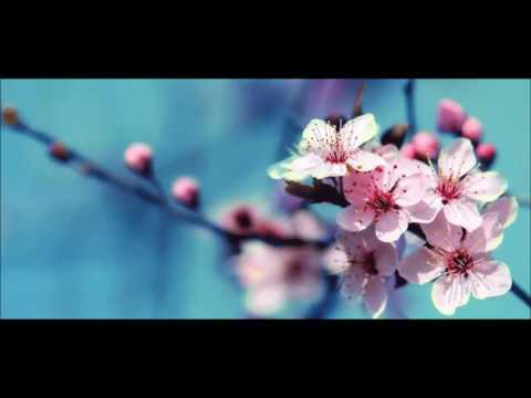 Sally Boss Madam - In Love with you (audio)