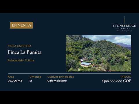 Finca La Pumita | Palocabildo, Tolima, Colombia - En Venta